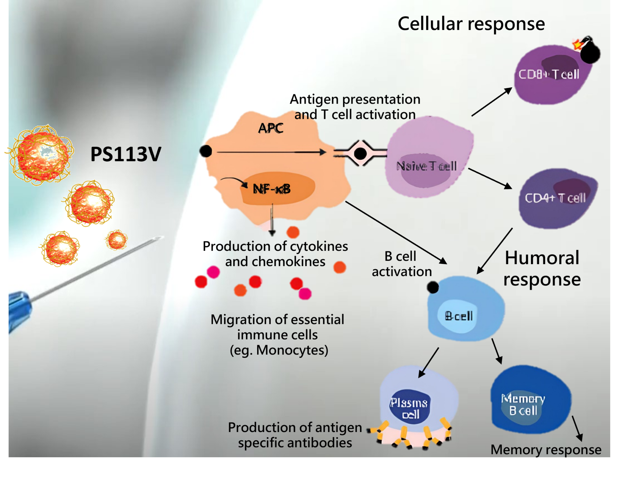 寶泓生醫實驗室